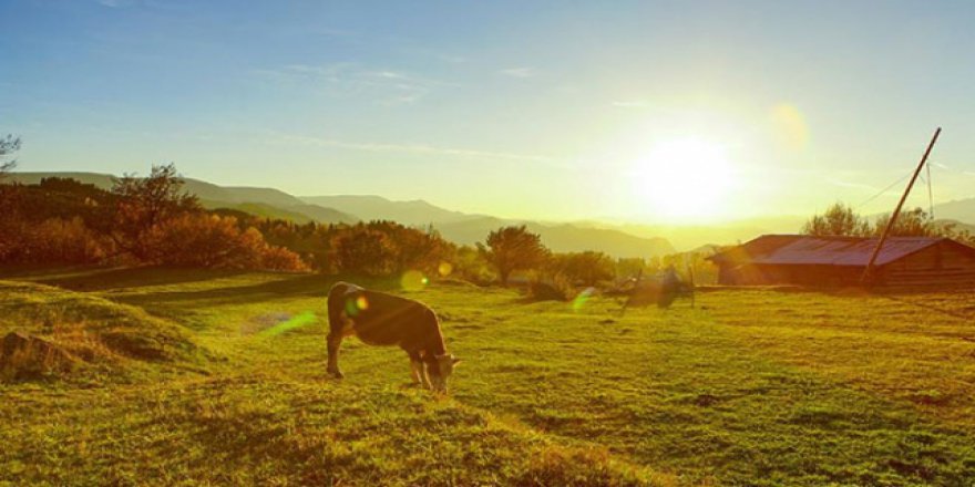 Soğuk hava sistemi Türkiye'den ayrılıyor
