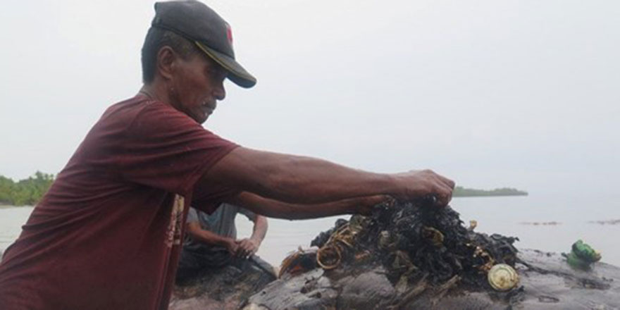 Ölü balinanın midesinden 6 kilo çöp çıktı