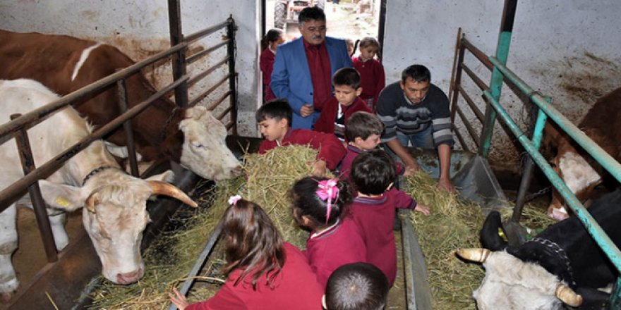 Haftanın bir günü dersleri köy okulunda yapıyor
