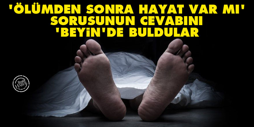 'Ölümden sonra hayat var mı' sorusunun cevabını 'beyin'de buldular