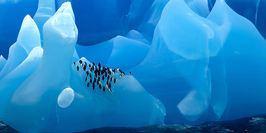 Antarktika’nın altı ölü kıta mezarlığı çıktı