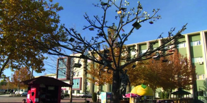 Bu ağacın meyvesi kitap