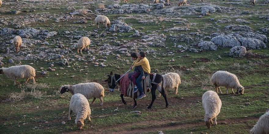 Besicilerin yüzü gelen yağmurlarla güldü