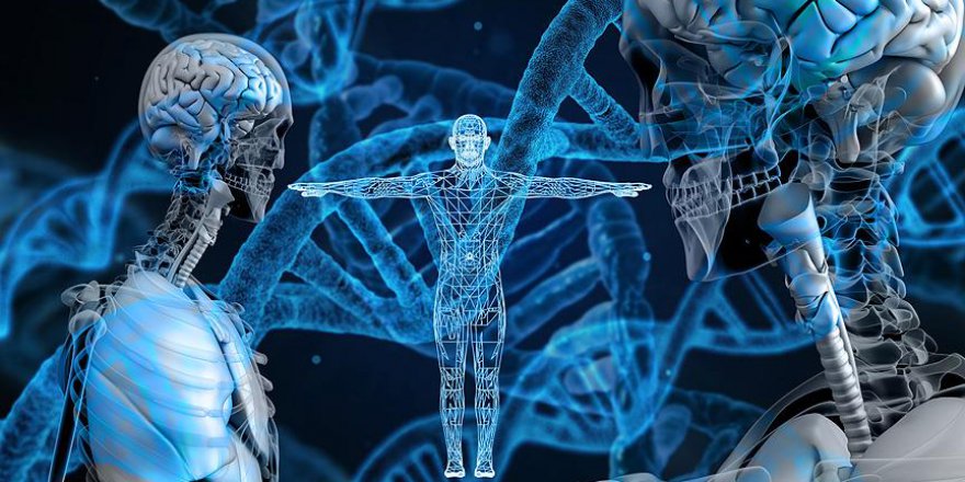 Hiperaktifliğin nedeni belli oldu