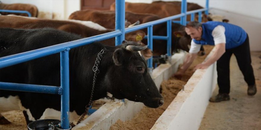 134 kırsal kalkınma projesine 92 milyon lira hibe