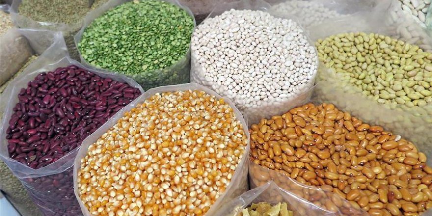 Kamil Yılmaz: Tohumda İsrail’e bağımlı değiliz