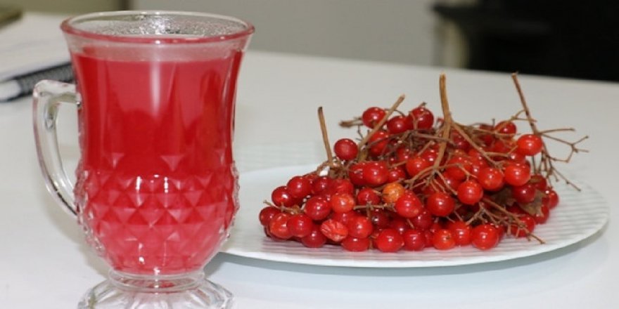 Gilaburu kansere karşı kalkan oluyor