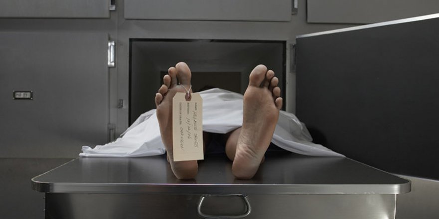 Bilim, materyalistlerin 'ruh yok' iddiasını çürüttü