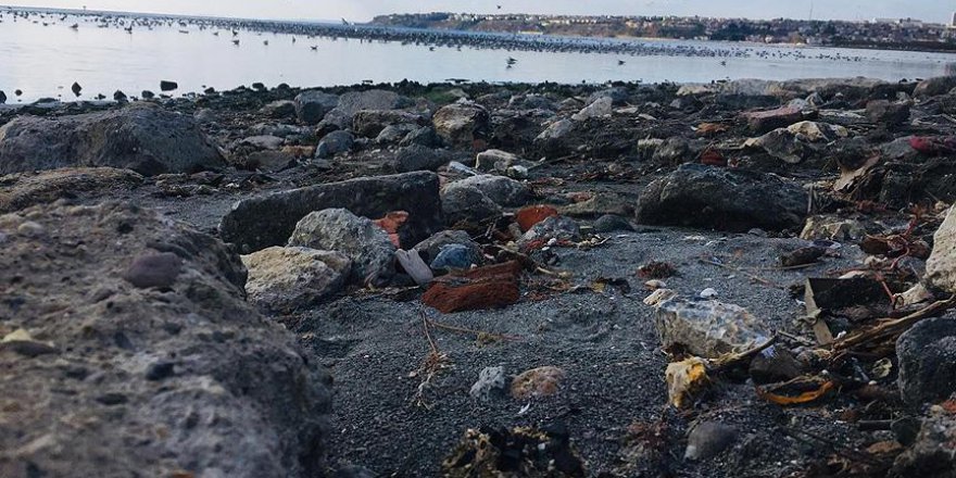 Silivri sahilinde endişe veren görüntü