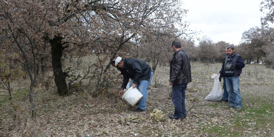 Muhtarın projesi köylülerin cebine yaradı