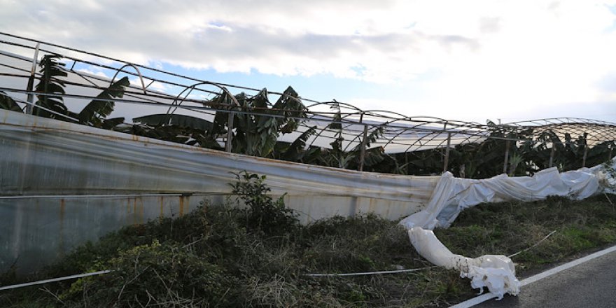 Antalya'da hortum ve fırtına tarım alanlarına zarar verdi
