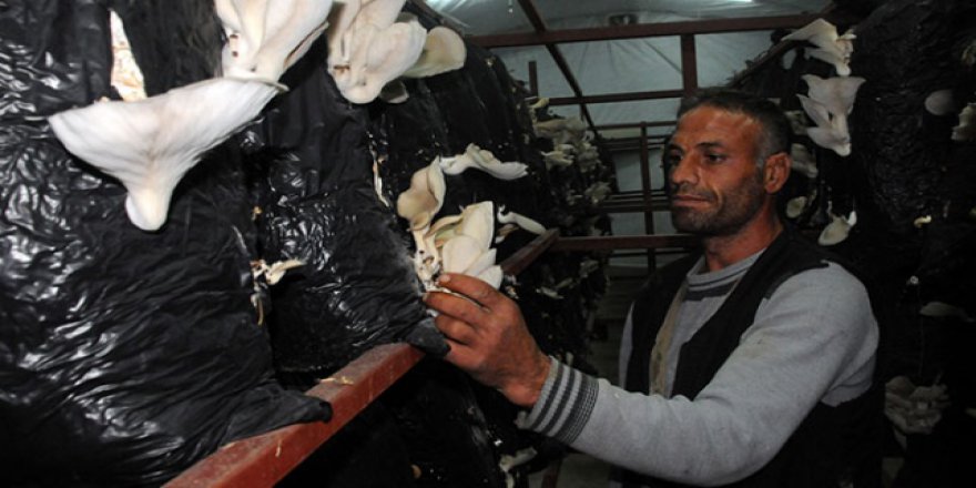 Engelli çoban devlet desteğiyle üretici oldu