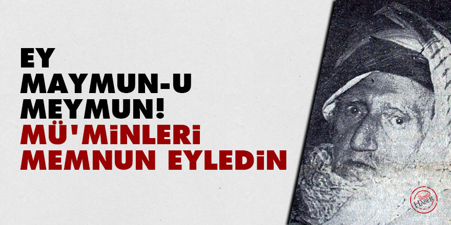 Bediüzzaman: Ey maymun-u meymun! Mü’minleri memnun eyledin