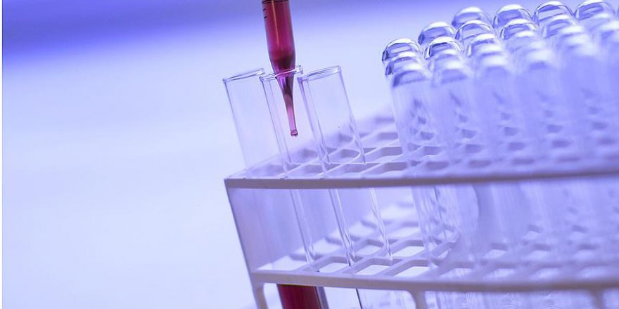 Akraba evliliklerine bağlı hastalıklarda 4 anahtar gen