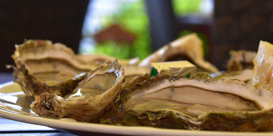 Restoranda yediği istiridyenin içinden 4 bin dolar değerinde inci çıktı