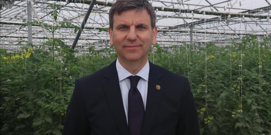 Türkiye'ye mülteciler konusunda bir övgü daha