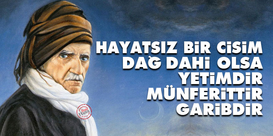 Bediüzzaman: Hayatsız bir cisim, dağ dahi olsa yetimdir, münferittir, garibdir