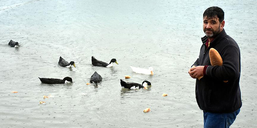 'Fırıncı Ozan'dan sokak hayvanlarına mobil ekmek servisi
