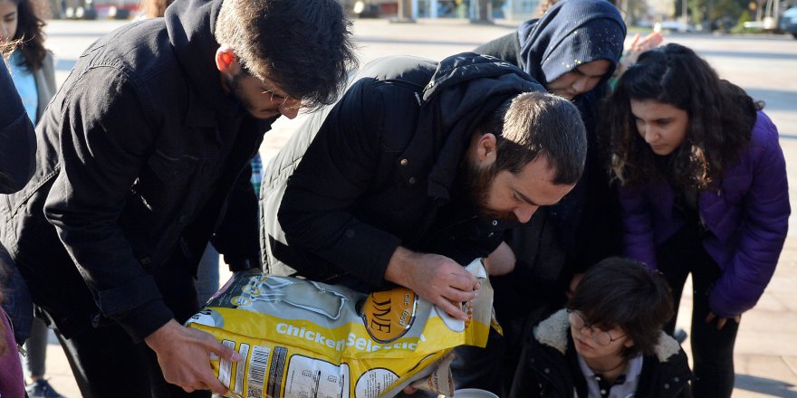 Öğrencilerden sokak hayvanlarına sıcak yuva ve mama