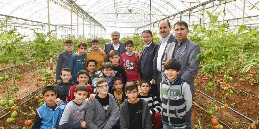 Barınma merkezindeki Suriyeliler sebze yetiştiriyor