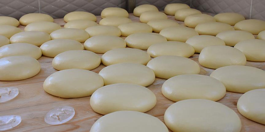 Kars'ta 'Malakan peyniri' yeniden gün yüzüne çıkartıldı