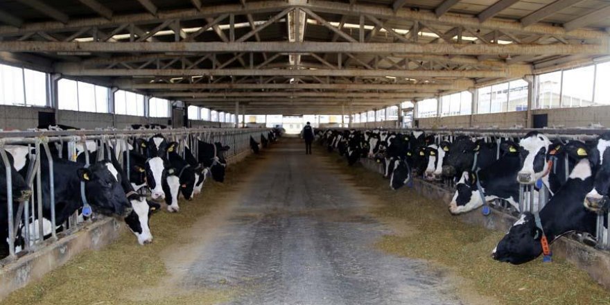 Tarım Bakanı Pakdemir'den hayvancılık desteği açıklaması