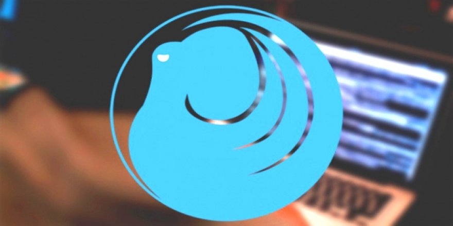 Türkiye'nin siber güvenliği 'Ahtapot'a emanet