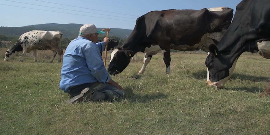 Üretici ve besiciye yeni destekler geliyor