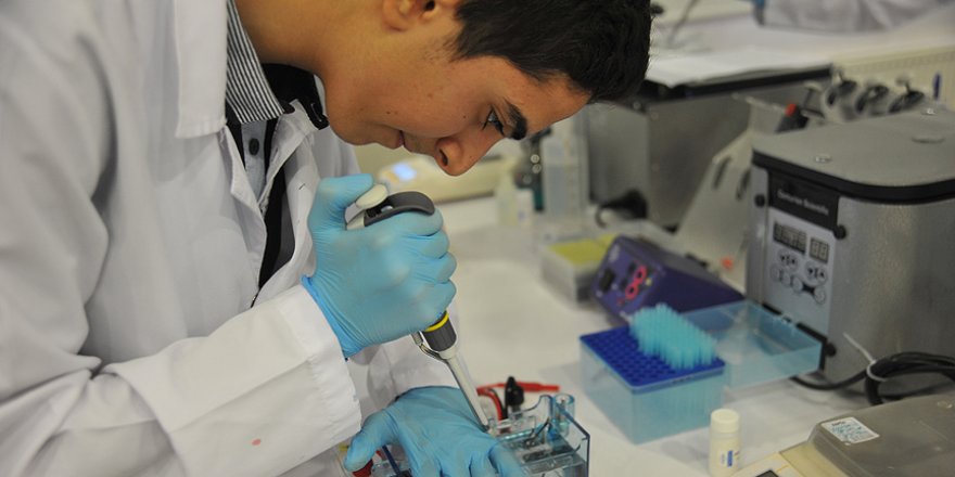 Lisede 'DNA'yı çoğaltmayı ve klonlamayı' öğreniyorlar