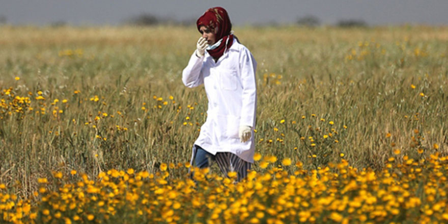 The New York Times: İsrail, Razan hemşireyi özellikle öldürdü