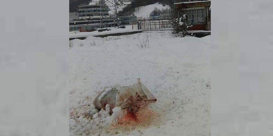 Srebrenitsa'daki Potoçari Anıt Mezarlığı'na çirkin saldırı