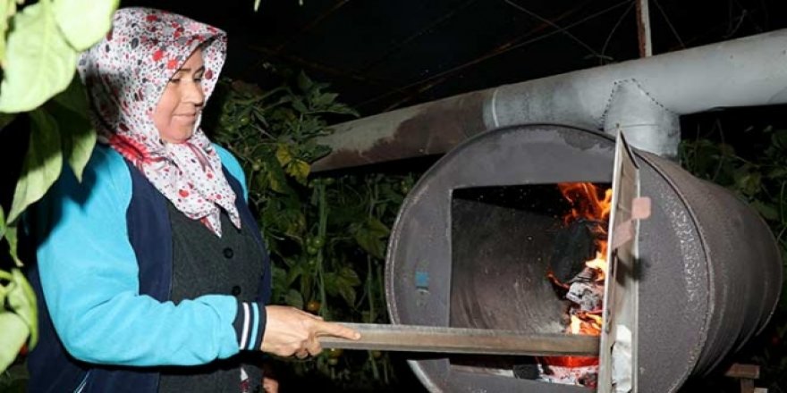 Ürünleri donmasın diye nöbet tutuyorlar