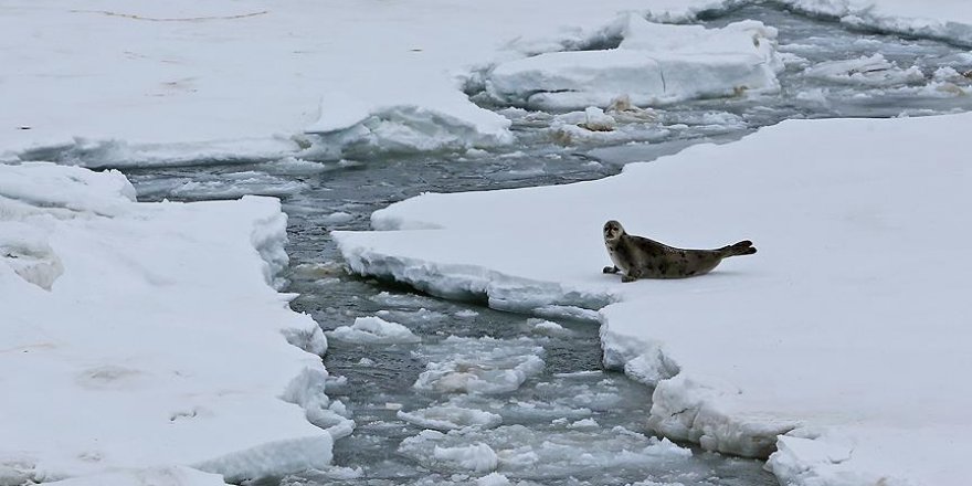 Küresel ısınma neticesinde tonlarca metan gazı atmosfere karışıyor