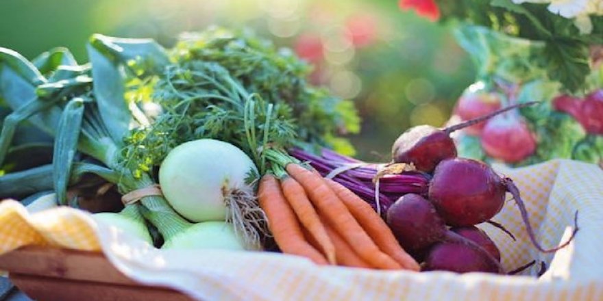 Gıdayı kısıtlamadan kanseri ve kalp krizini önleyen Akdeniz diyeti