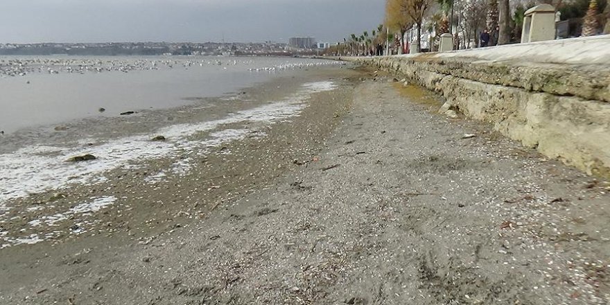 Silivri'de deniz suyu 50 metre çekildi