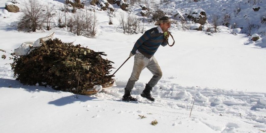Besicilerin kar altında zorlu mücadelesi