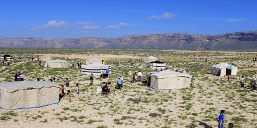 BAE'li tarihçinin Sokotra Adası'yla ilgili sözleri tepkiye yol açtı