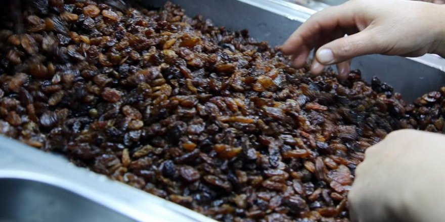 Kuru üzümde ihracat hızlı başladı