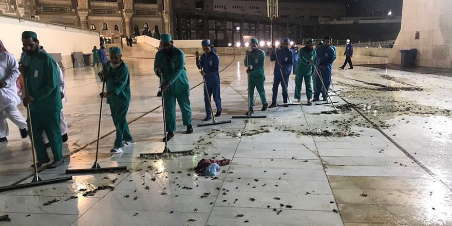 Mekke'nin her tarafı hamam böcekleri ve çekirgelerle doldu