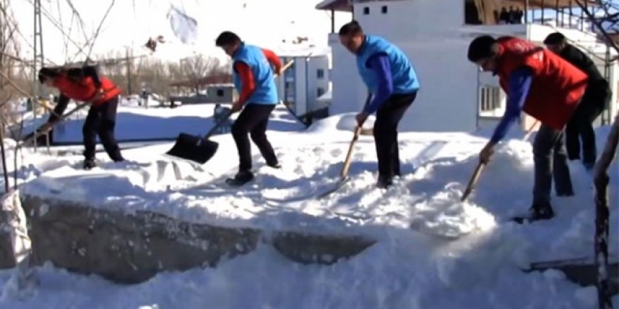 Köy hayatını yerinde öğrendiler