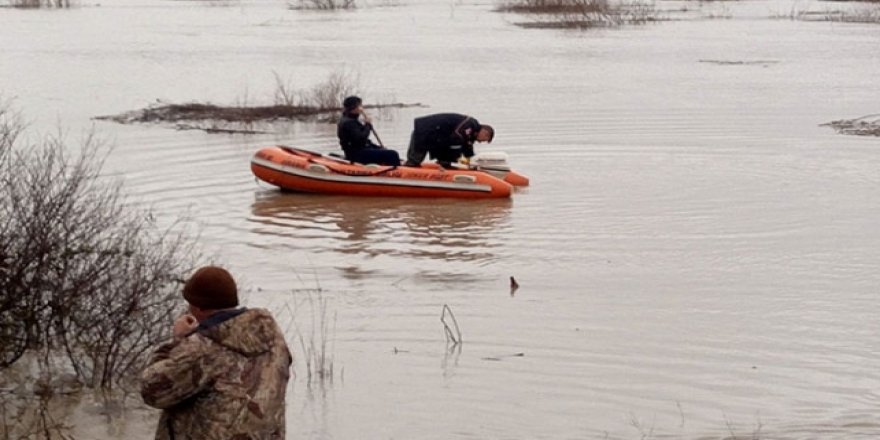 Sel suları yükselince koyunlarıyla mahsur kaldı