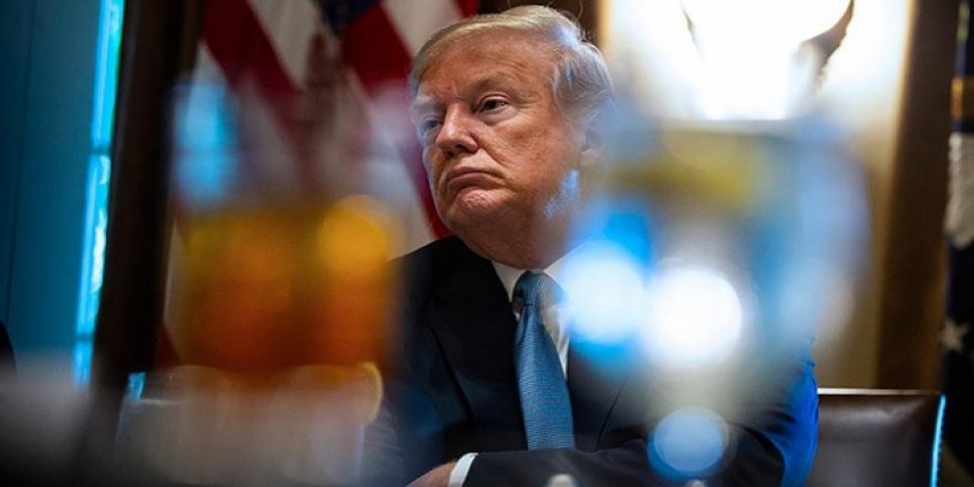 Trump'a 2020 seçimlerinde iki demokrat daha rakip