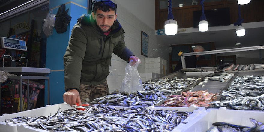 Sofraların vazgeçilmezi hamsi cep yakıyor
