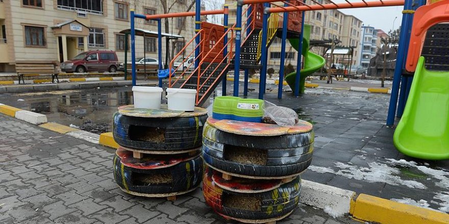 Iğdırlı öğrenciler hurdadan kedi yuvaları yaptı