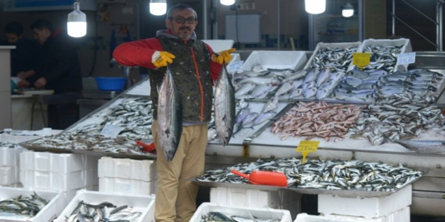 İri palamut bereketli geldi