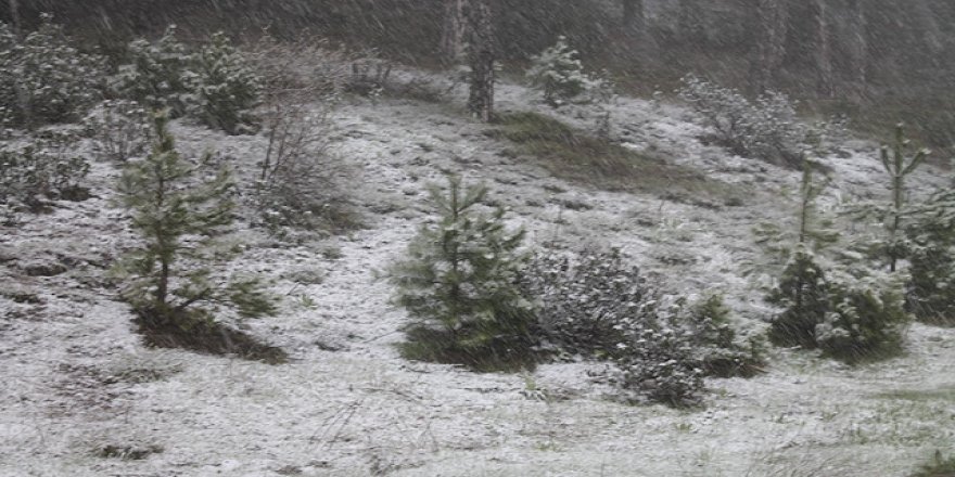 Kocaeli Üniversitesi bugün tatil