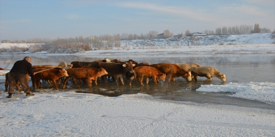 Ekmek paraları için kış şartlarına göğüs geriyorlar
