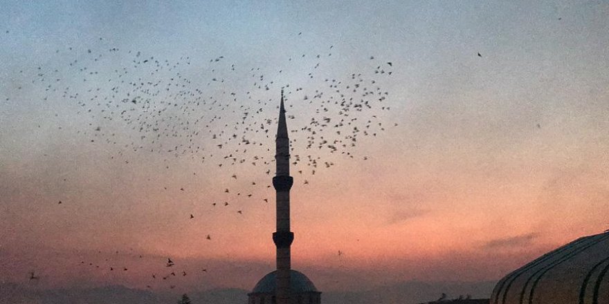 Şanlıurfa semalarına 'güvercin döküldü'