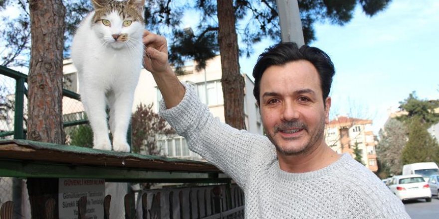 Mahalleni her ferdi kedi ve köpekler için seferber oldu