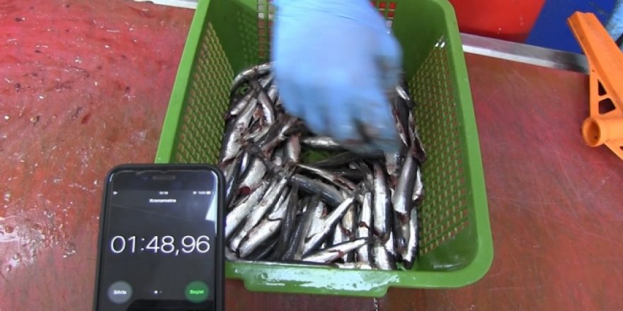 Balıkçılardan sosyal medyada eğlenceli yarışma
